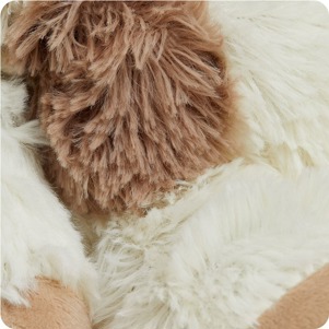 INTELEXCP-PUP-2_4_.jpg