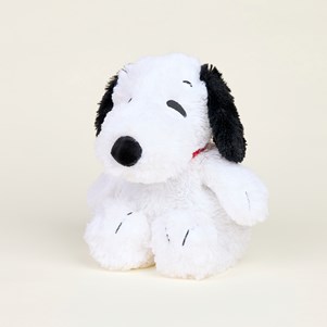 INTELEXCP-SNOOPY-1_1_.jpg