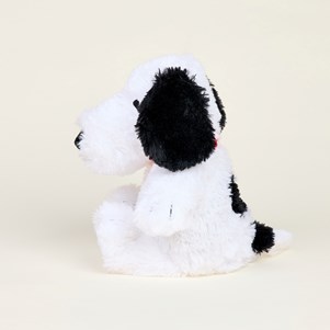 INTELEXCP-SNOOPY-1_2_.jpg