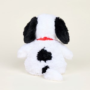 INTELEXCP-SNOOPY-1_3_.jpg