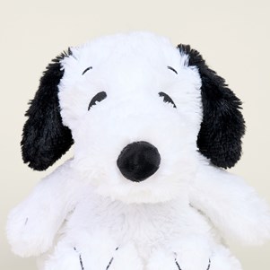 INTELEXCP-SNOOPY-1_4_.jpg