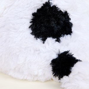 INTELEXCP-SNOOPY-1_6_.jpg