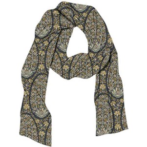 SPARTINA367064.jpg