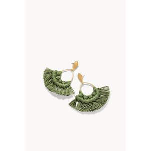 SPARTINA487655.jpg
