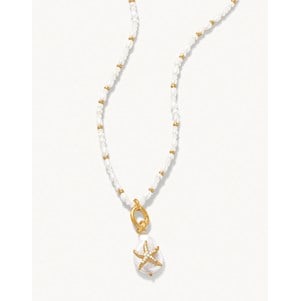 SPARTINA492734.jpg