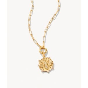 SPARTINA492765.jpg