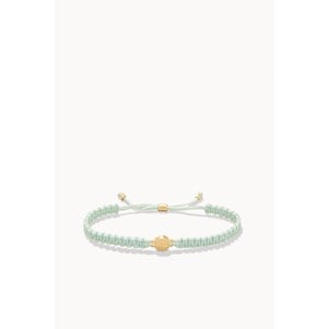 SPARTINA496756.jpg