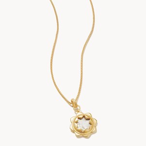 SPARTINA668057.jpg