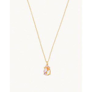 SPARTINA670142.jpg