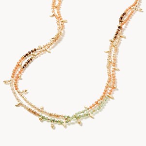 SPARTINA678957.jpg